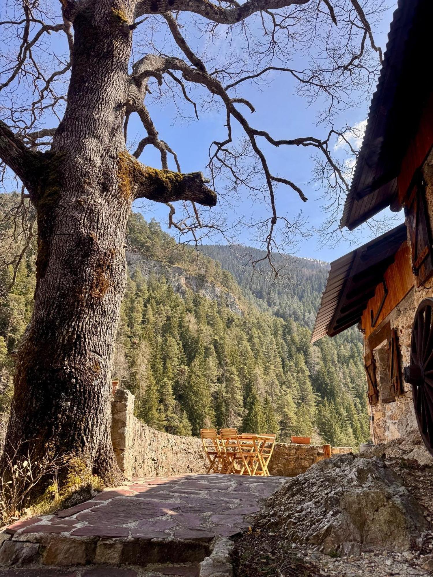 Maison Maralpine Hébergement de vacances *
